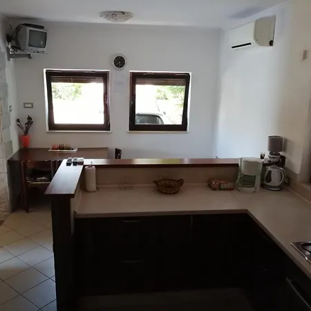 Ostanak kod kuće Viktor And 2 *